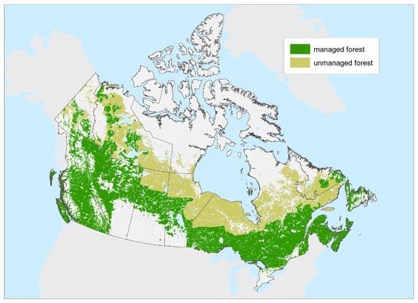 mappa del Canada foreste