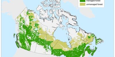 Mappa del Canada foreste