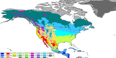 Canada previsioni meteo mappa