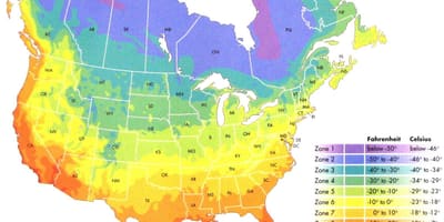 Canada temperatura mappa zone