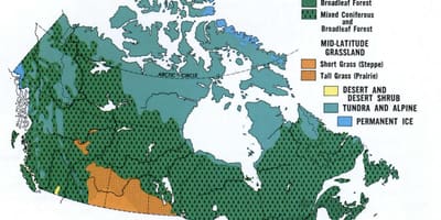 Mappa del Canada vegetazione